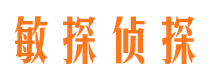 新和市侦探公司